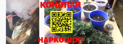 герыч Бердск
