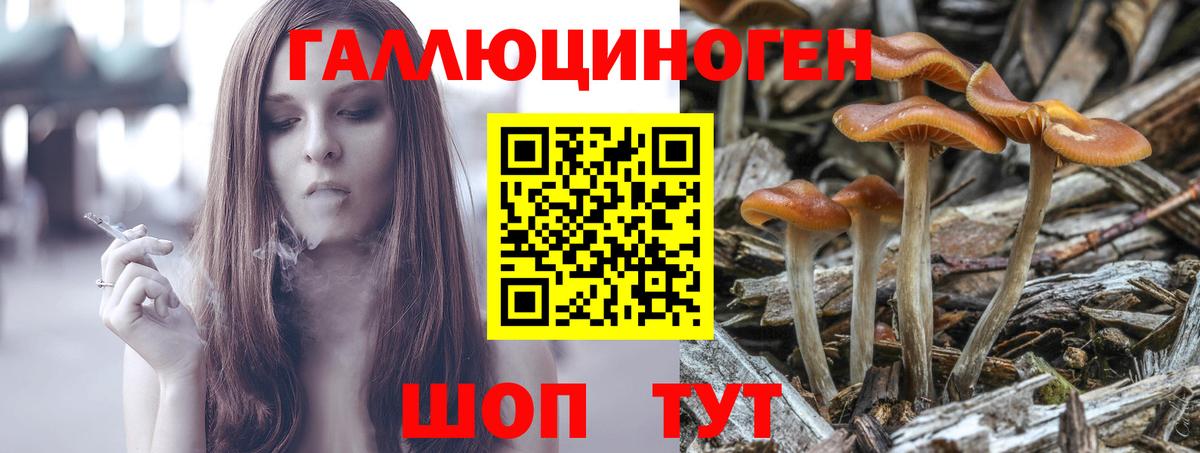 Псилоцибиновые грибы Psilocybine cubensis Верхняя Салда